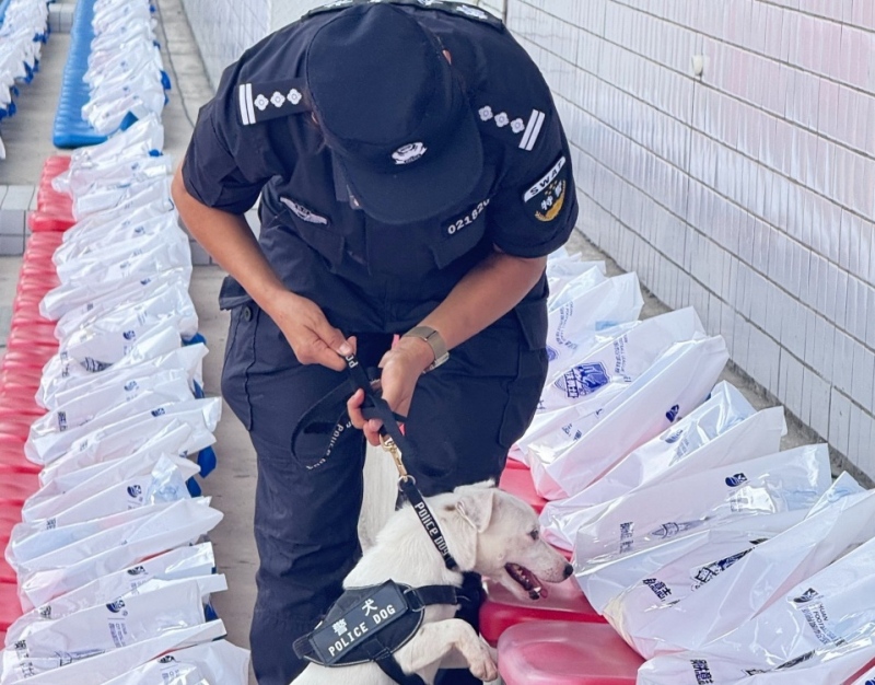 257223f5-a3c3-4f12-b6c9-646f42a3bcce.jpg 257223f5-a3c3-4f12-b6c9-646f42a3bcce.jpg