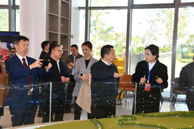 微信图片_2025-12-05_094336_516.jpg 微信图片_2025-12-05_094336_516.jpg