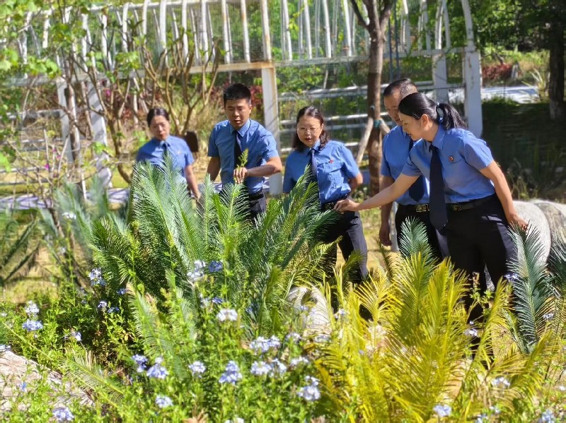 微信图片_2026-02-02_094654_005.jpg 微信图片_2026-02-02_094654_005.jpg